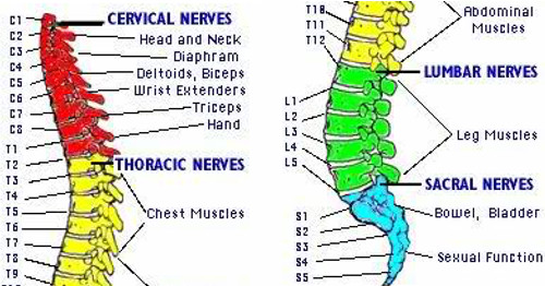 http://www.yuchamedicalchiro.com/sys/blog/1006.jpg